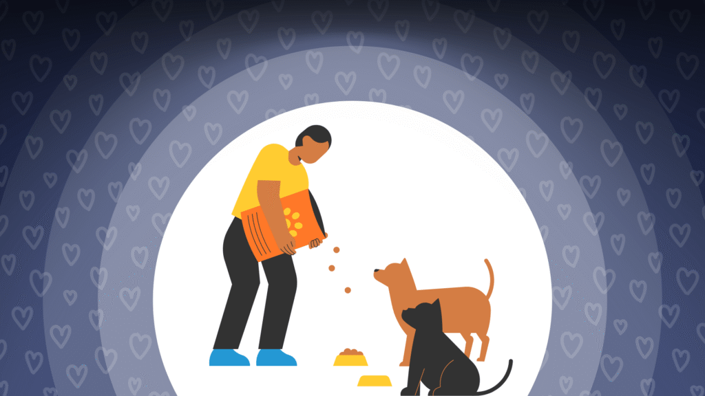 Person pouring kibble from a bag while two dogs wait beside food bowls on a heart-patterned background
